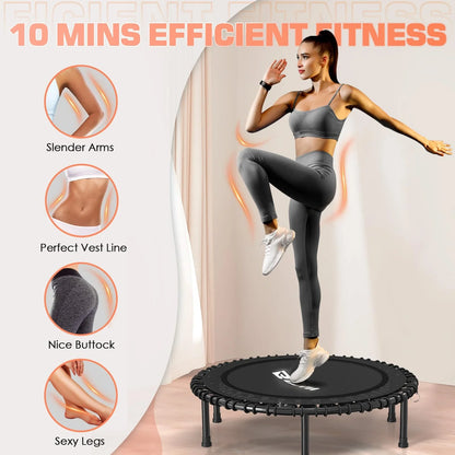 BCAN BT2 Foldable Adult Mini Bungee Trampoline