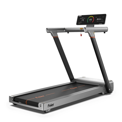 Feier TM1 Fully Foldable Treadmill